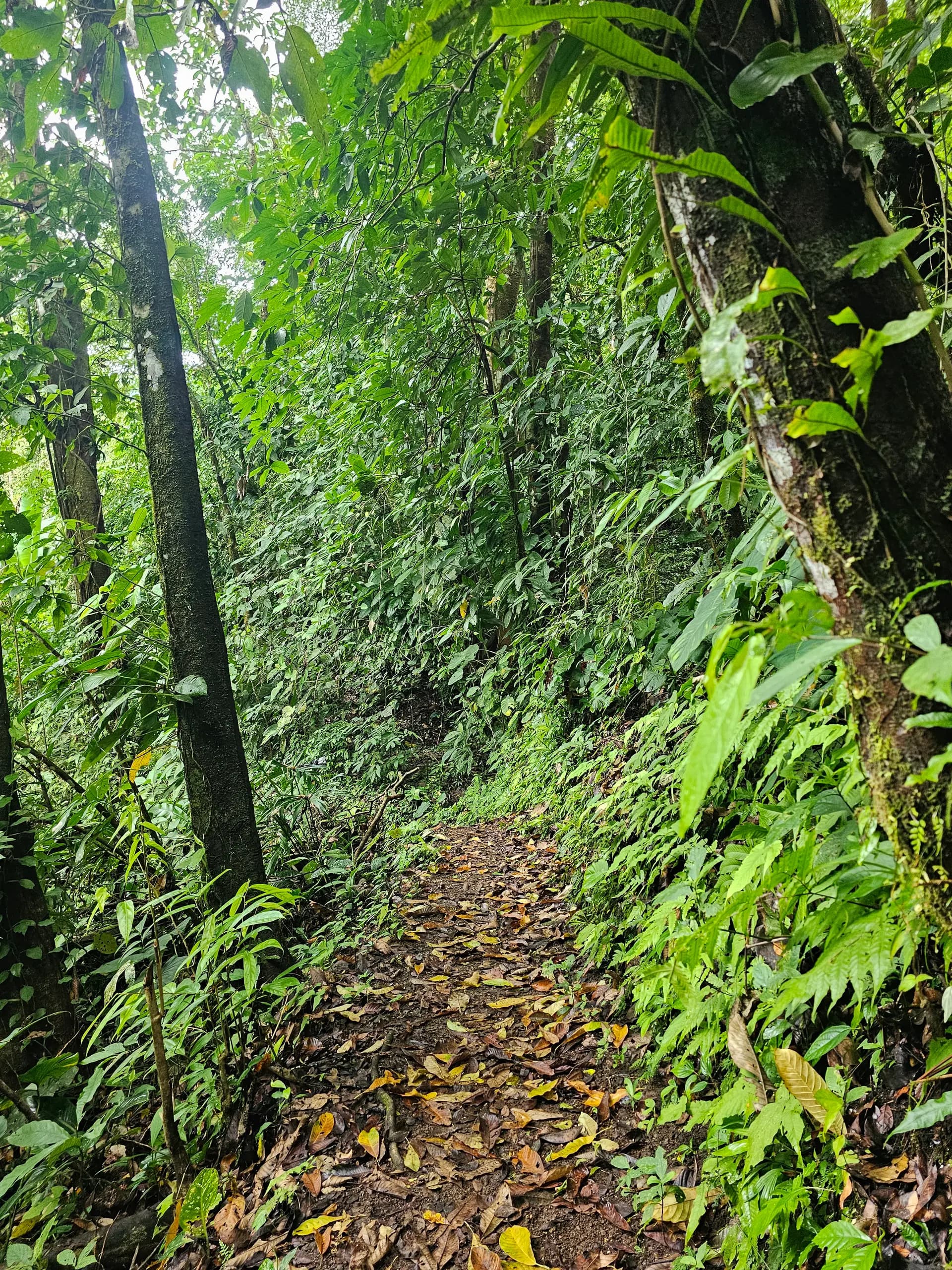 South Zone Adventure